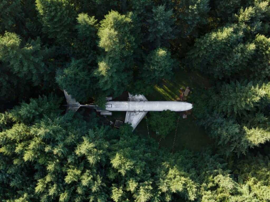 Airplane In A Forest